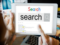 Search Engine Optimization /h3>